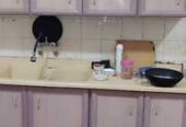 SAR 500 | Urgent Sale | Household Items | Limited Items Left