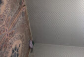 SAR 1,100 / Month | Furnished Room | Available for Rent
