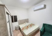 SAR 1,600 Monthly | Executive Bachelor Rooms | For Males Only
