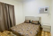 Newly Furnished 2BHK Apartment Available for Rent