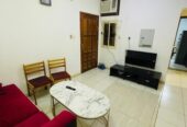 Fully Furnished 1BHK & 2BHK Apartments Available for Rent