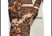 Professional Mehendi (Henna) Artist | Bridal & Party Designs