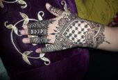Mehandi|henna Artist