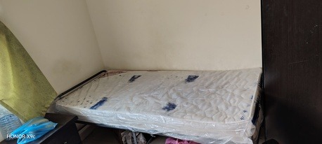 SAR 350/month | 10 Sq. Meter | Single Bedspace for Executive Bachelor