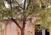 SAR 800/month | 1 Bedspace Available for Professional Bachelor