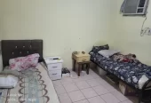 SAR 330/month | 1 Bed Share Available | Furnished 2 BHK Flat | 250 Sq Ft | Bachelor