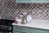 SAR 3,500 | Modular Kitchen Cabinet | Sage Green | Gold Handles | Good Condition