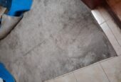 SAR 250 | Large Rug – 3 × 4 Meters