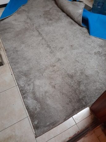 SAR 250 | Large Rug – 3 × 4 Meters
