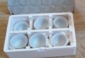 Household & Accessories for Sale | Brand New Items