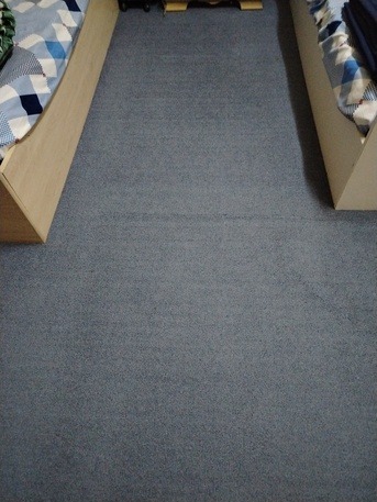 AR 400 | Carpet, Vacuum Cleaner & Floor Sheet for Sale