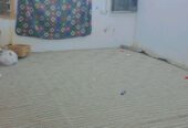 1-Bedroom Family Home for Rent | Perfect for a Small Family