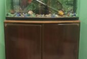 Furniture For Sale