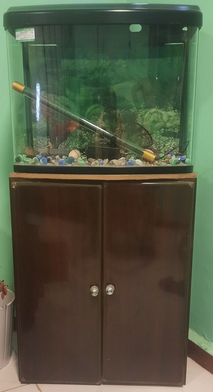 Furniture For Sale